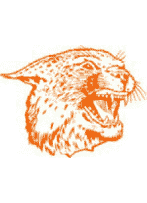 image001
